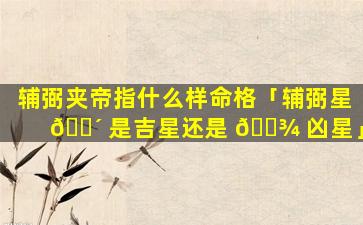 辅弼夹帝指什么样命格「辅弼星 🐴 是吉星还是 🌾 凶星」